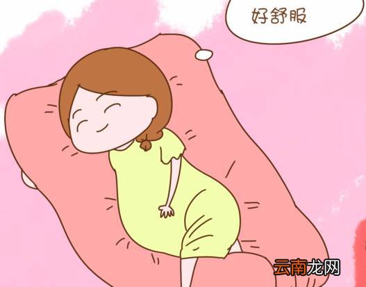 孕妇睡觉为什么需要孕妇枕 U型枕和E型枕哪个更好