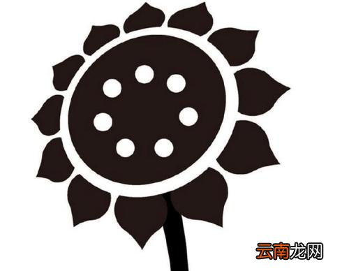 黑白卡片的正确使用 促进宝宝视觉发育