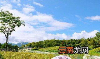 蔺河在哪里 蔺河的位置