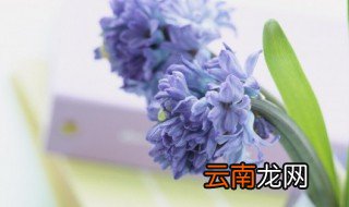 干净文艺爱情短句 文艺爱情小短句
