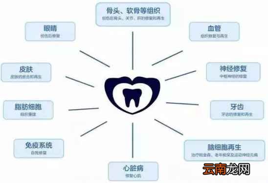 小孩乳牙掉了怎么处理