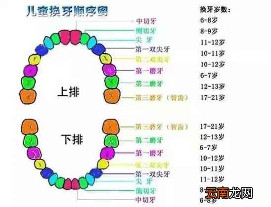 小孩乳牙掉了怎么处理