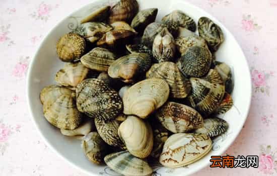 花甲怎么保存才新鲜 分三种情况来保存