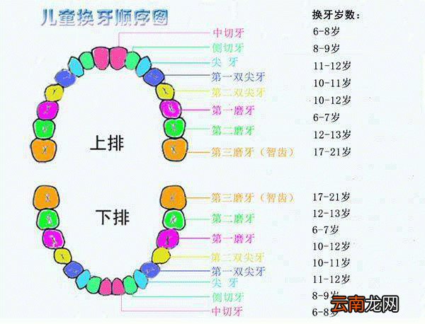 宝宝换牙多久长出新牙 宝宝不长新牙怎么办