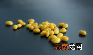 黄豆什么地方适合种植 黄豆适合什么季节种植