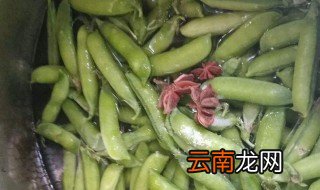 豆荚怎么放冰箱保存 豆荚放冰箱保存的方法