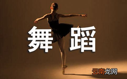 最新幼儿舞蹈教学总结范文