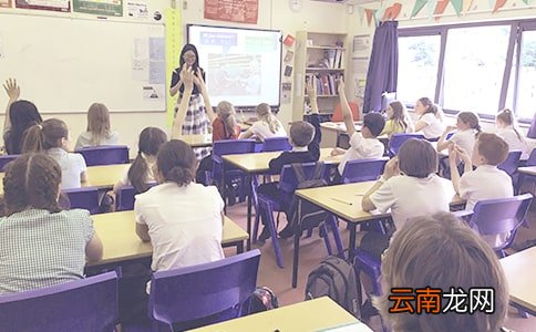 精选10篇 线上教学周总结
