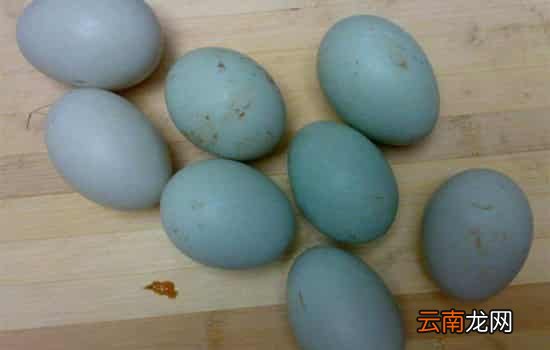 宝宝吃鸡蛋好还是鸭蛋好 鸭蛋和鸡蛋的营养价值对比