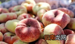 蟠桃要怎么保存 蟠桃保存方法