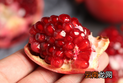 石榴的热量和糖分高吗-石榴适合减脂期吃吗