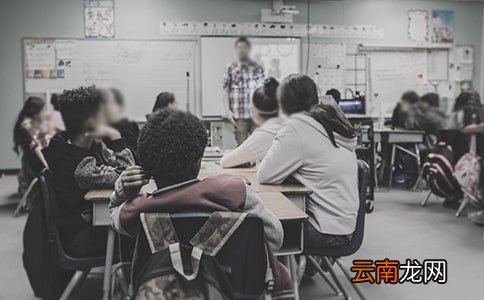 文秘教学总结