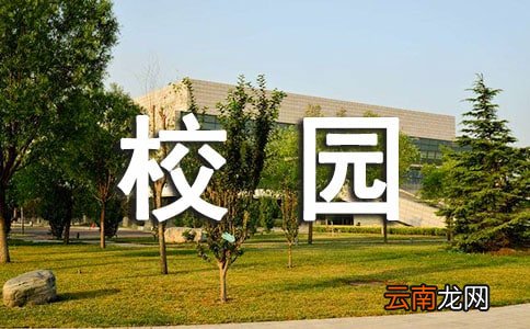 校园特色活动总结