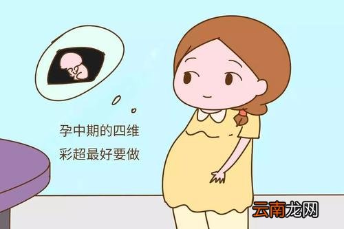 四维彩超和三维彩超有啥区别 四维彩超和系统彩超有什么区别