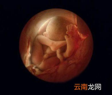四维彩超和三维彩超有啥区别 四维彩超和系统彩超有什么区别