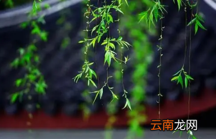2022清明以后天气暖和了吗-清明以后是不是就不冷了