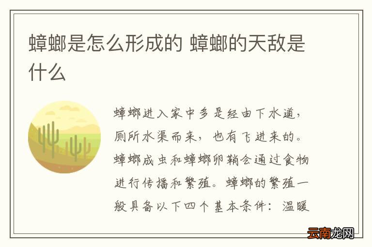 蟑螂是怎么形成的 蟑螂的天敌是什么