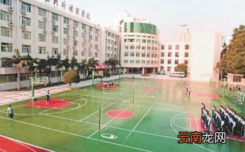 开展校园兴趣小组的活动总结