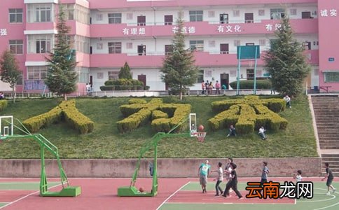 校园文化建设活动总结