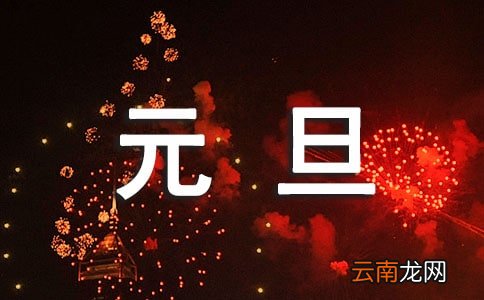校园元旦主题活动总结