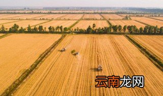 什么地方适合种植荞麦 什么地方适合种植荞麦面