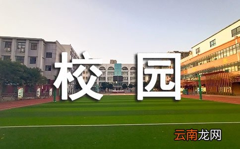 校园环保活动总结集锦15篇