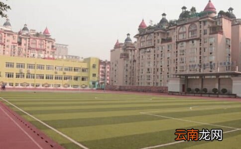 通用5篇 校园开展网络文化活动总结