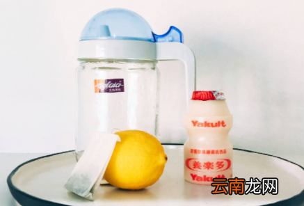 养乐多是酸奶还是饮料-养乐多热量高吗一瓶多少毫升