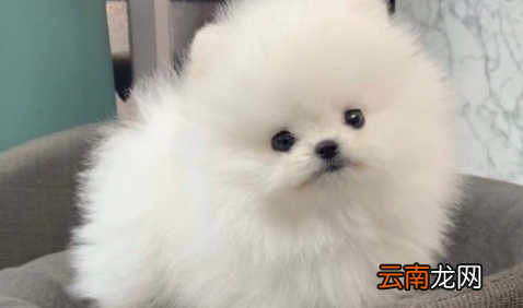 狗咬了30天打针有用不-狗咬人20天后仍健康是不是就没事了