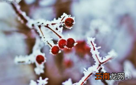 2022年什么时候数九-数九冬至当天算不算