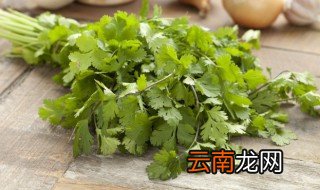 霜降节前后可以种什么蔬菜呢 霜降节前后可以种什么蔬菜