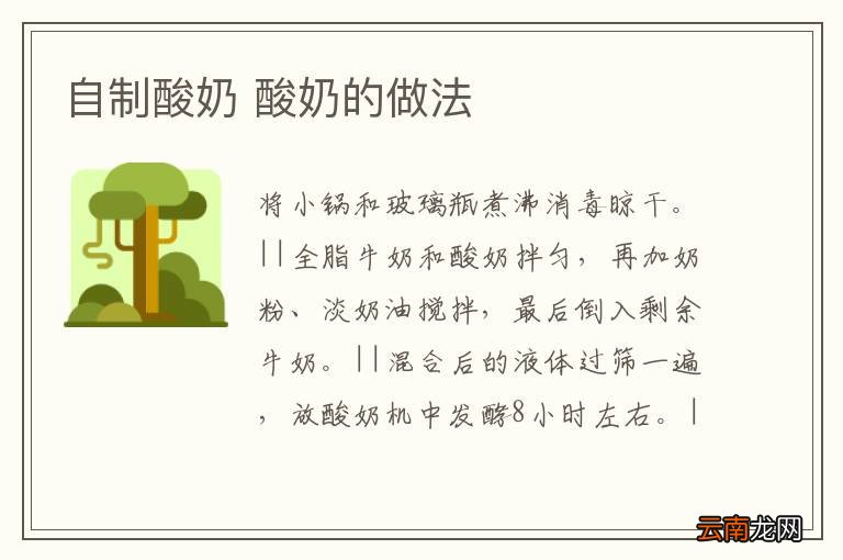 自制酸奶 酸奶的做法