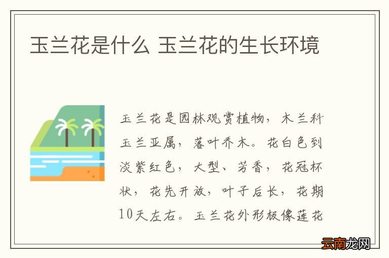 玉兰花是什么 玉兰花的生长环境