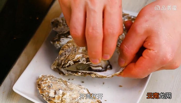 带壳生蚝的做法 带壳生蚝怎么做