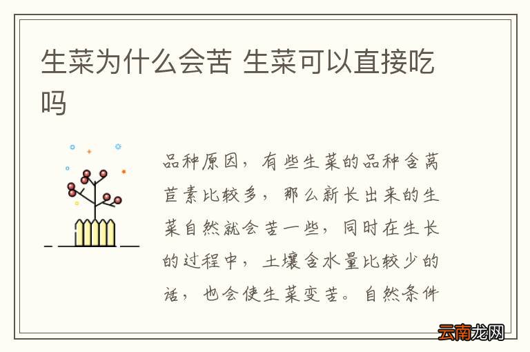 生菜为什么会苦 生菜可以直接吃吗