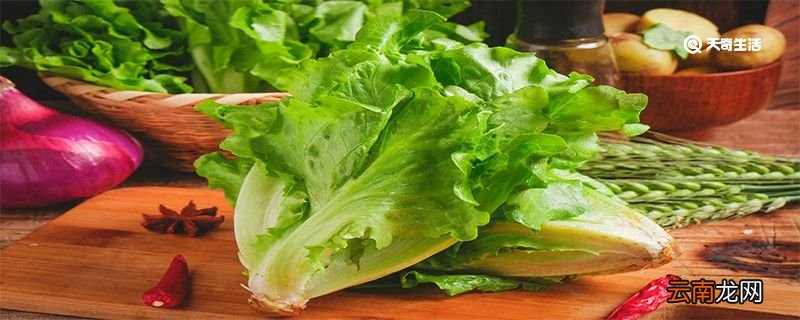 生菜为什么会苦 生菜可以直接吃吗