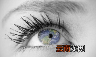 慧眼识珠什么意思 慧眼识珠的解释