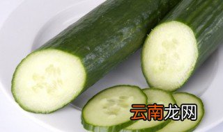 黄瓜适合什么季节播种种子 黄瓜适合什么季节播种