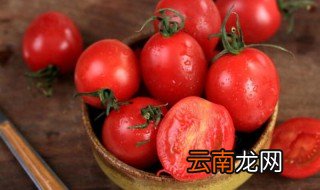 圣女果和西红柿的区别 两者有什么区别