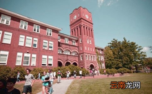 美化校园实践活动总结
