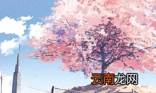 人累心累怎么发朋友圈 心累的说说