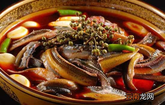 黄鳝孕妇能吃吗 孕妇食用鳝鱼的四大益处