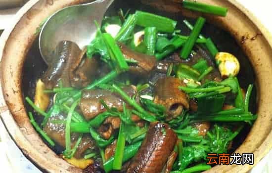黄鳝孕妇能吃吗 孕妇食用鳝鱼的四大益处