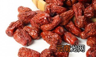 云南什么地方适合种植红枣苗 云南什么地方适合种植红枣