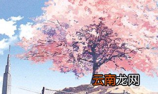 超短一句话打动人心短句 打动人心的说说