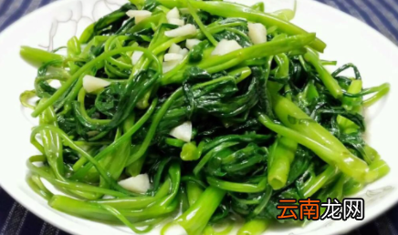 空心菜汤黑色有害吗-炒空心菜不变黑的秘密