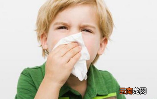 宝宝热伤风感冒的症状 低烧和流浊涕是关键