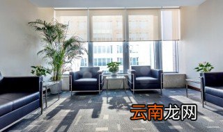 大叶的室内植物有哪些 室内大叶植物都有什么