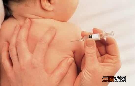 宝宝打百白破疫苗的地方红肿发硬怎么回事