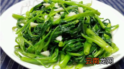 空心菜为什么不能切-空心菜要不要把菜叶摘掉